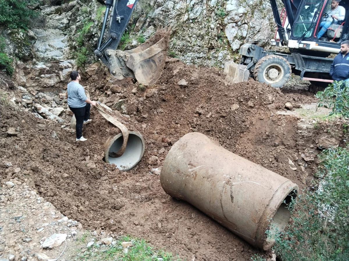 ARICILARIN YARDIMINA KUŞADASI BELEDİYESİ KOŞTU