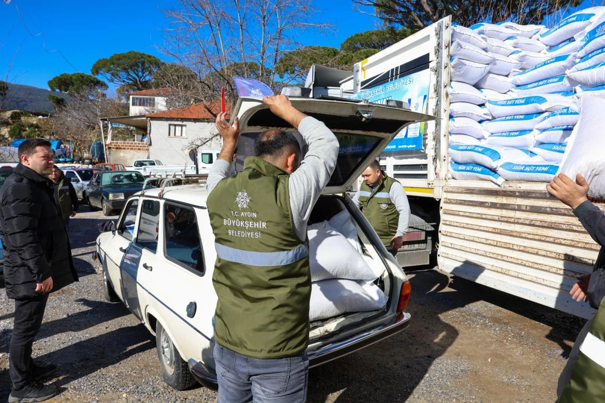 AYDIN B&Uuml;Y&Uuml;KŞEHİR BELEDİYESİ&rsquo;NİN K&Uuml;&Ccedil;&Uuml;K &Uuml;RETİCİLERE YEM DESTEKLERİ DEVAM EDİYOR