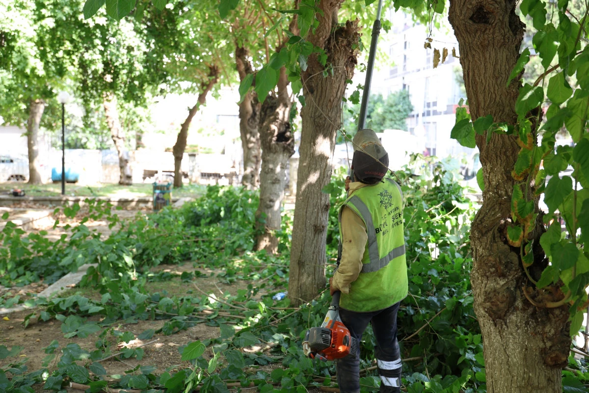 BAŞKAN &Ccedil;ER&Ccedil;İOĞLU&rsquo;NUN &Ccedil;ALIŞMALARIYLA AYDIN&rsquo;IN PARK VE YEŞİL ALANLARI YENİLENİYOR