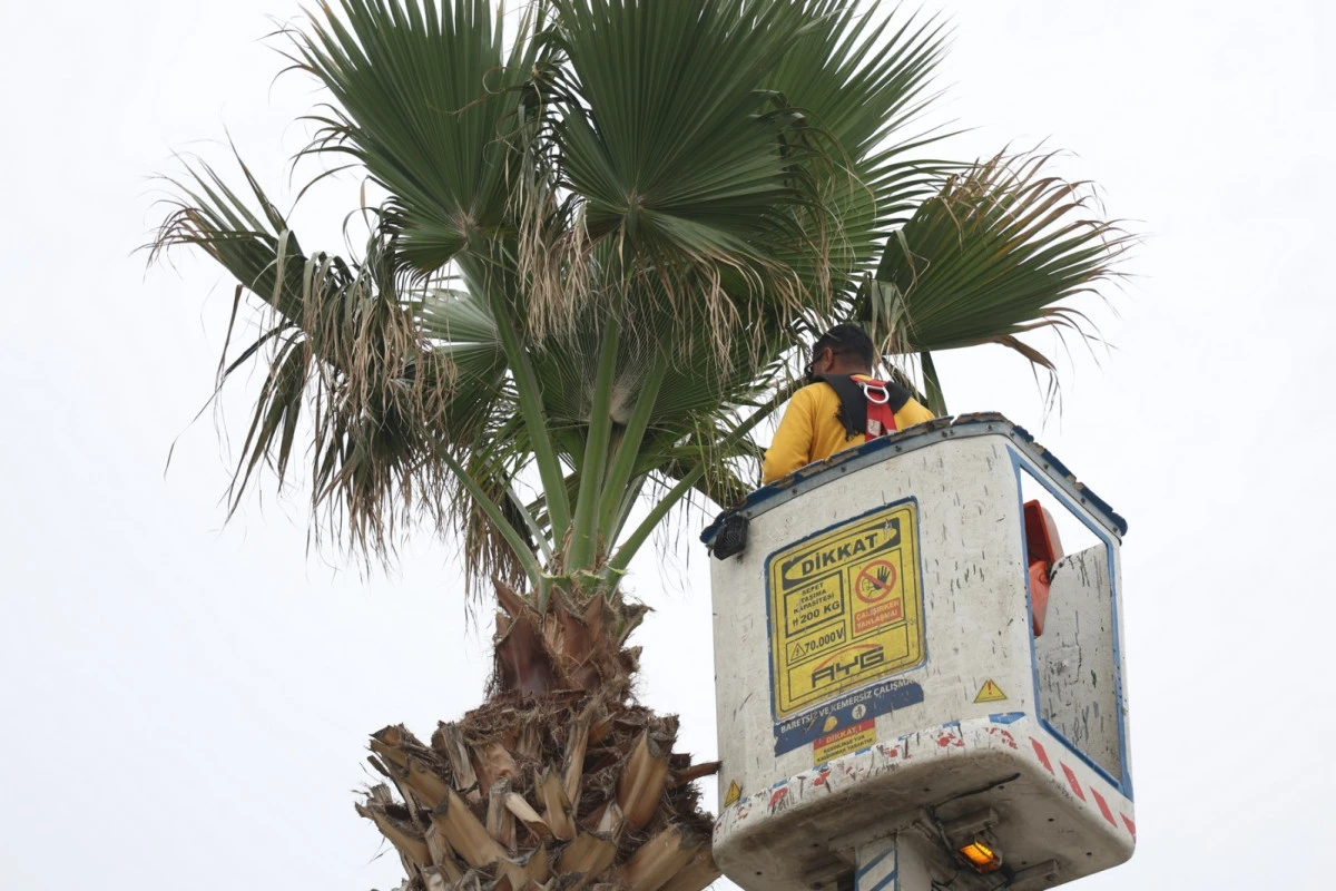 BAŞKAN &Ccedil;ER&Ccedil;İOĞLU&rsquo;NUN &Ouml;NC&Uuml;L&Uuml;Ğ&Uuml;NDE DİDİM TURİZM  SEZONUNA HAZIRLANIYOR