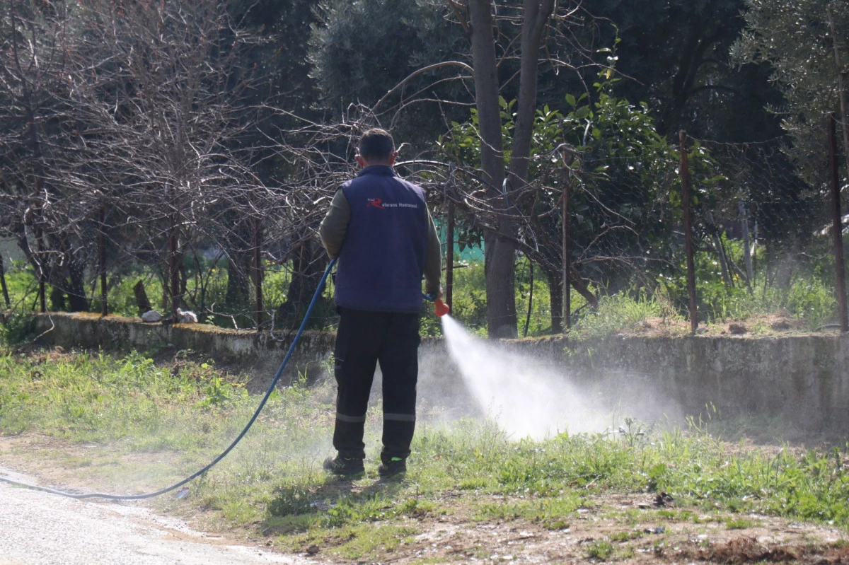 BOZDOĞAN BAYRAMA HAZIRLANIYOR
