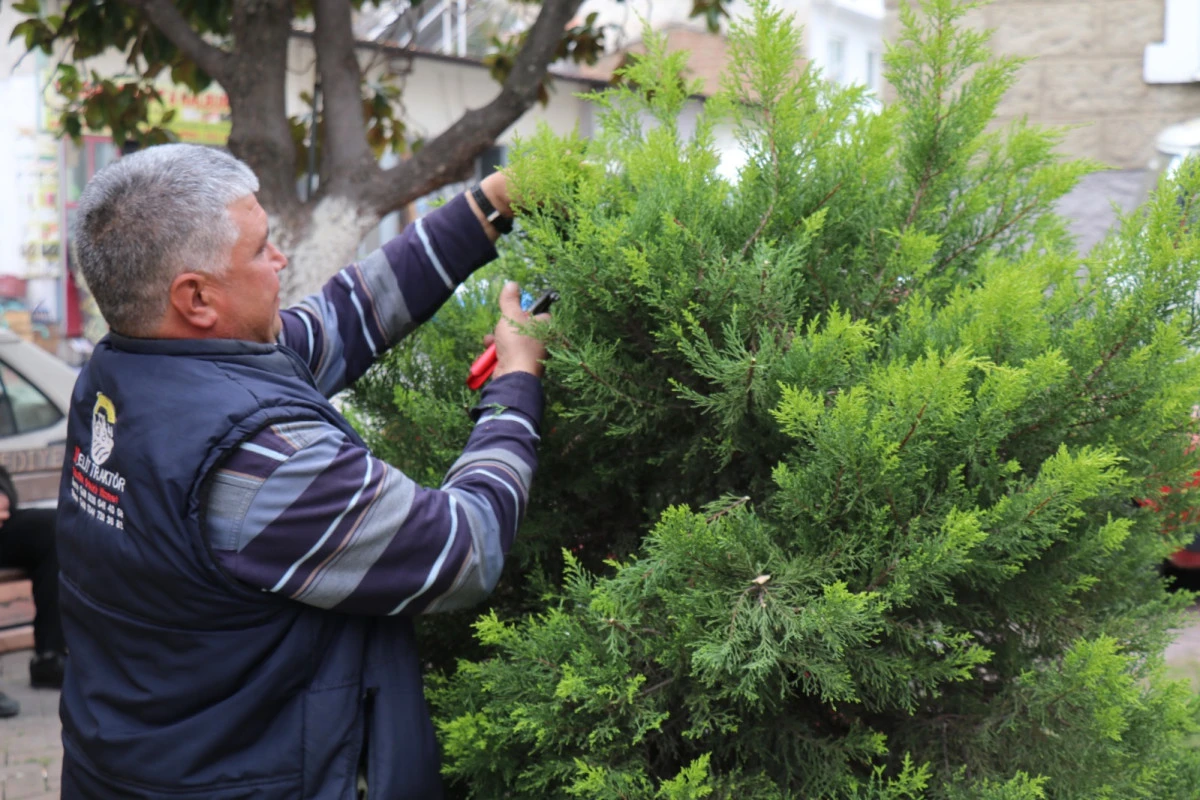 BOZDOĞAN&rsquo;DA TEMİZLİK VE D&Uuml;ZEN &Ccedil;ALIŞMALARI ARALIKSIZ S&Uuml;R&Uuml;YOR