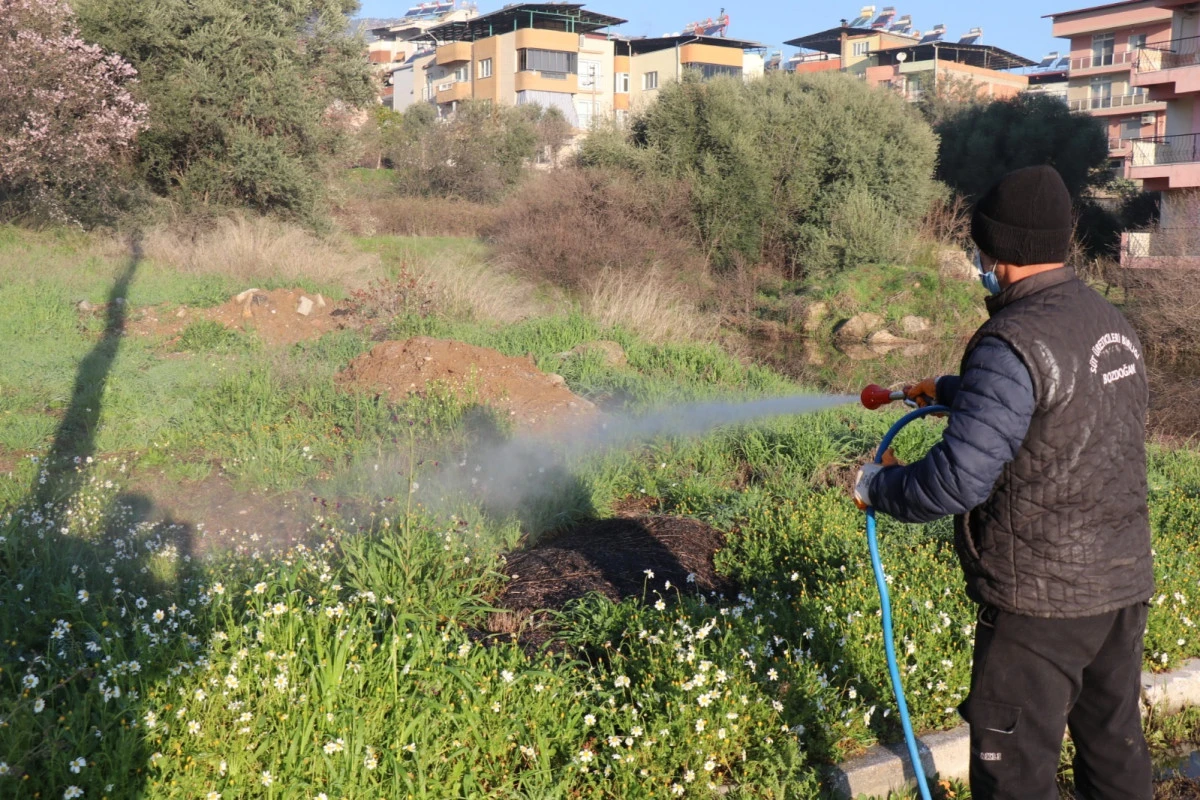 Bozdoğan&rsquo;da Yabani Otlarla M&uuml;cadele Başladı