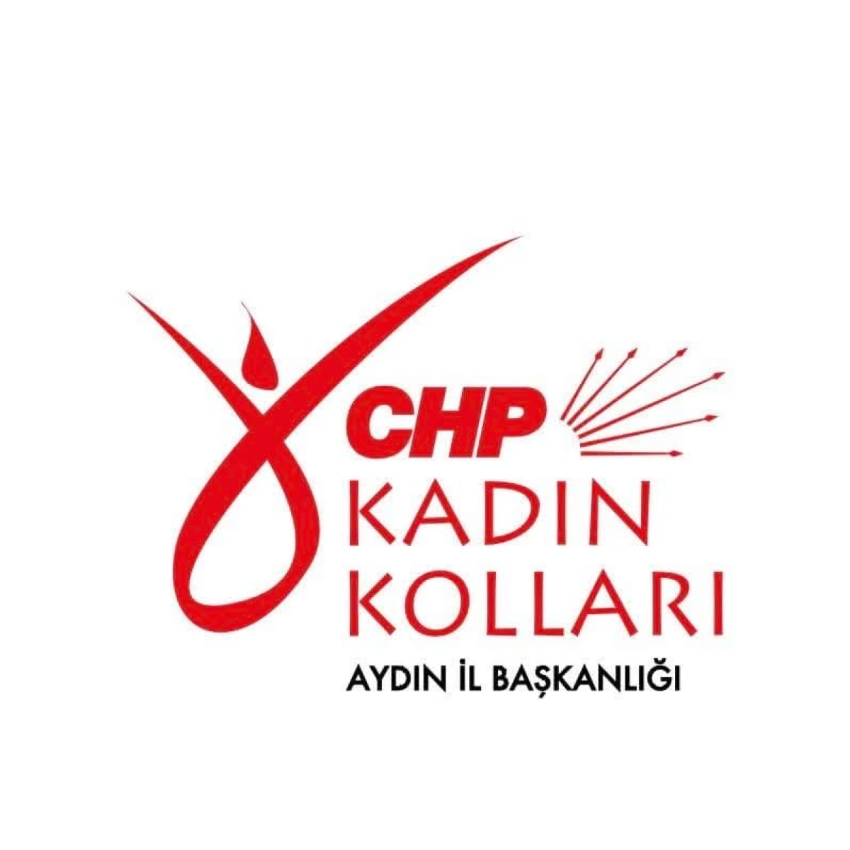 CHP Aydın il Kadın Kollarından açıklama;