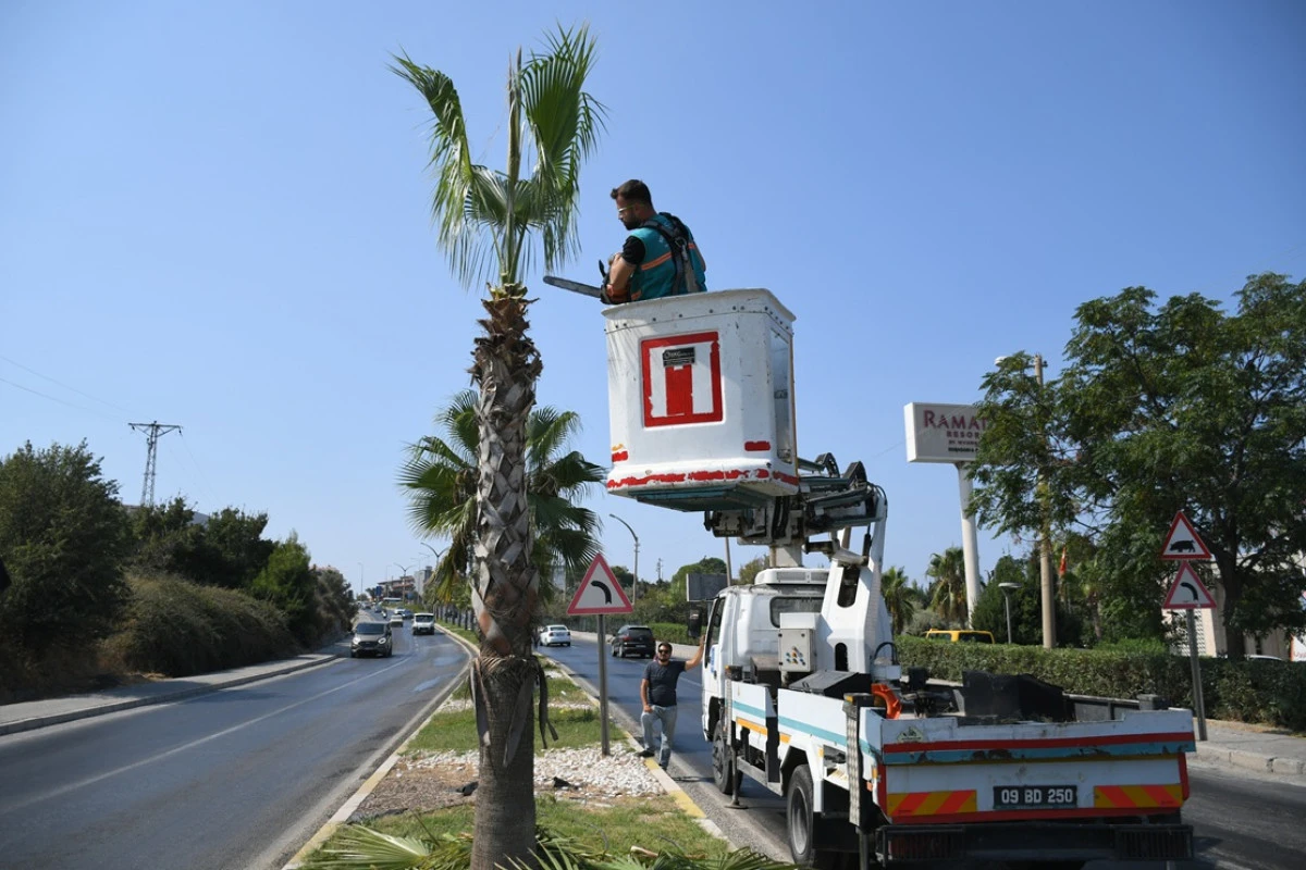 DAHA ESTETİK, DAHA YEŞİL BİR KUŞADASI İ&Ccedil;İN &Ccedil;ALIŞMALAR S&Uuml;R&Uuml;YOR: