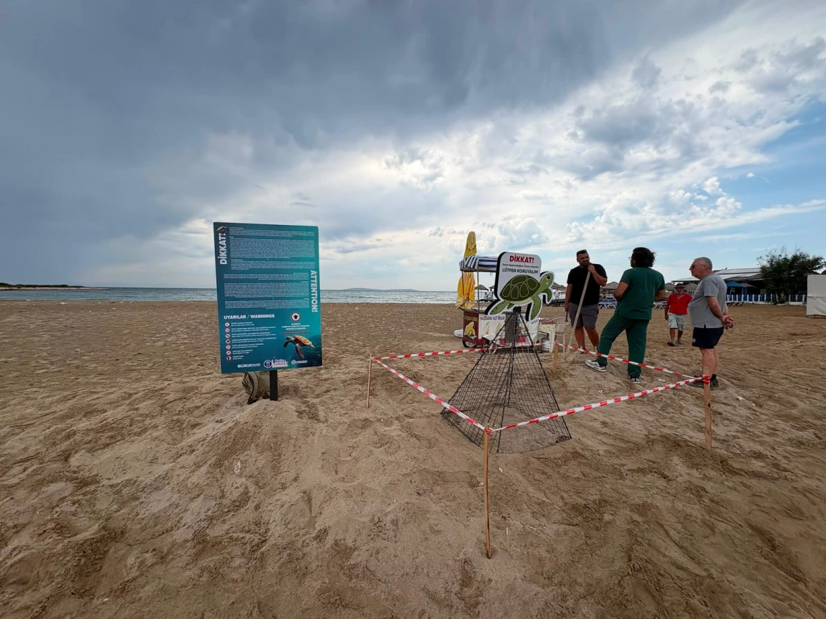Didim Belediyesi Ekiplerinin Zamanında M&uuml;dahalesi Caretta Carettayı Kurtardı