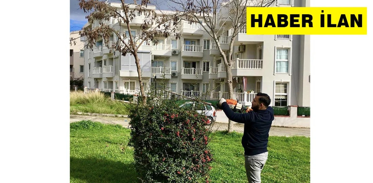 DİDİM BELEDİYESİ YEŞİL ALANLARDA BAKIM VE &Ccedil;EVRE D&Uuml;ZENLEME &Ccedil;ALIŞMALARINI S&Uuml;RD&Uuml;R&Uuml;YOR