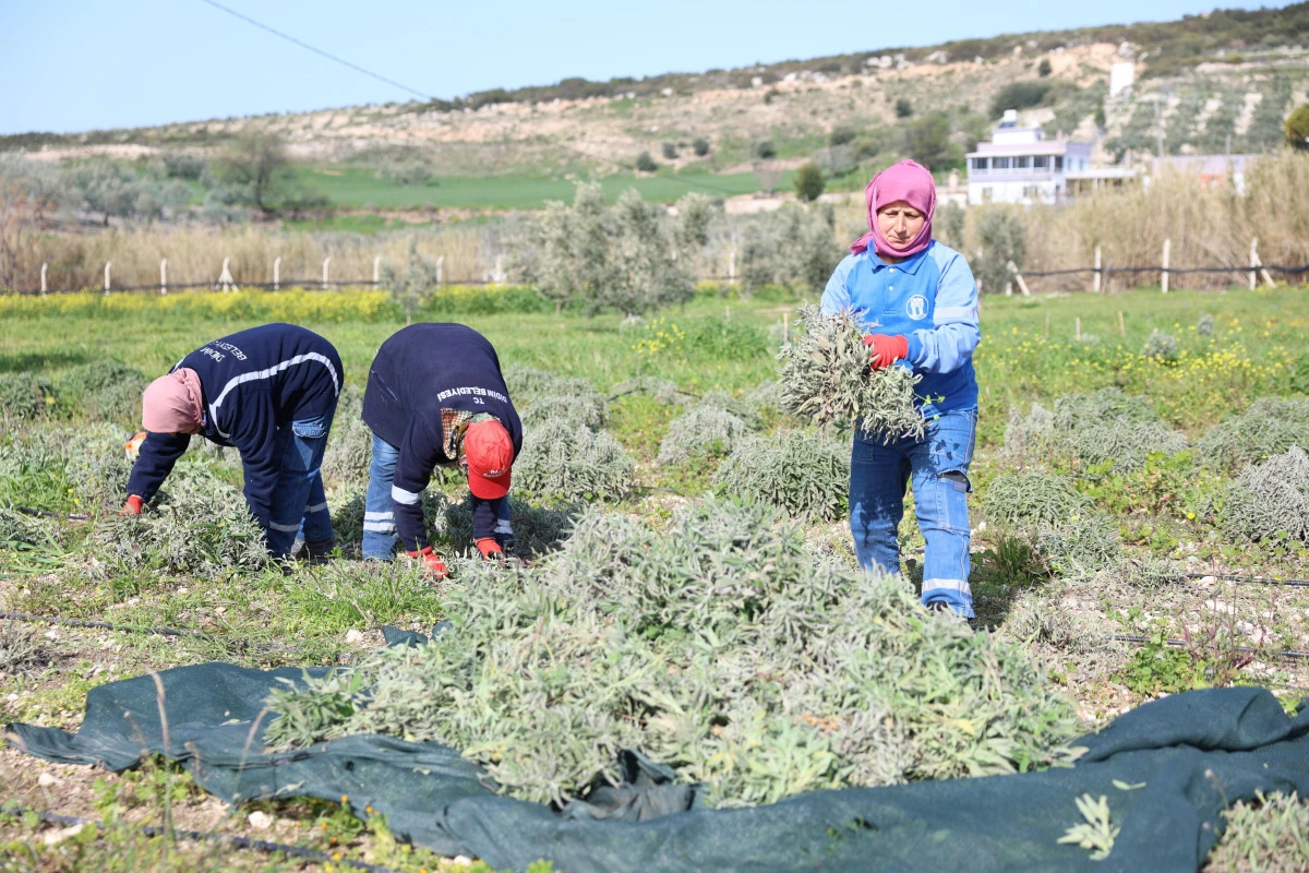 DİDİM BELEDİYESİ&rsquo;NDEN &ldquo;&Uuml;RETEN BELEDİYECİLİK&rdquo; UYGULAMASI