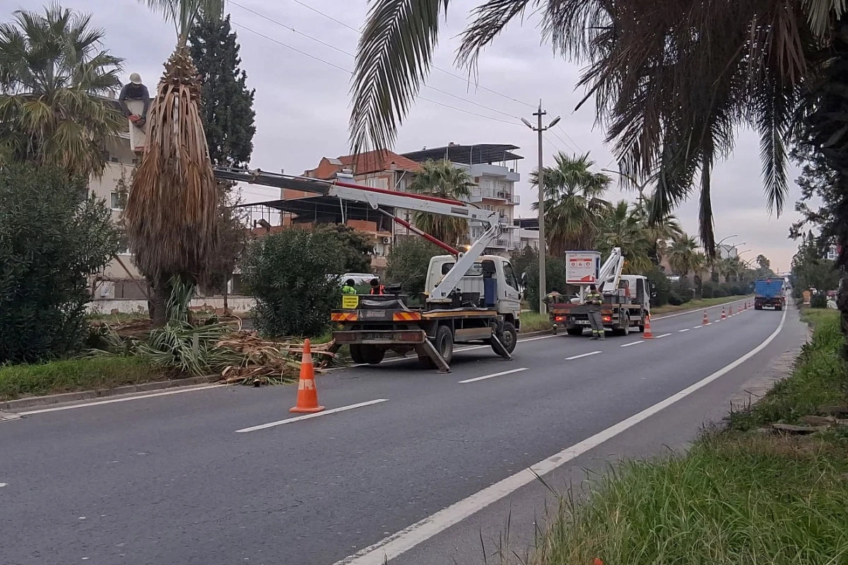 EFELER BELEDİYESİ&rsquo;NDEN UMURLU KARAYOLU&rsquo;NDA &Ccedil;ALIŞMA