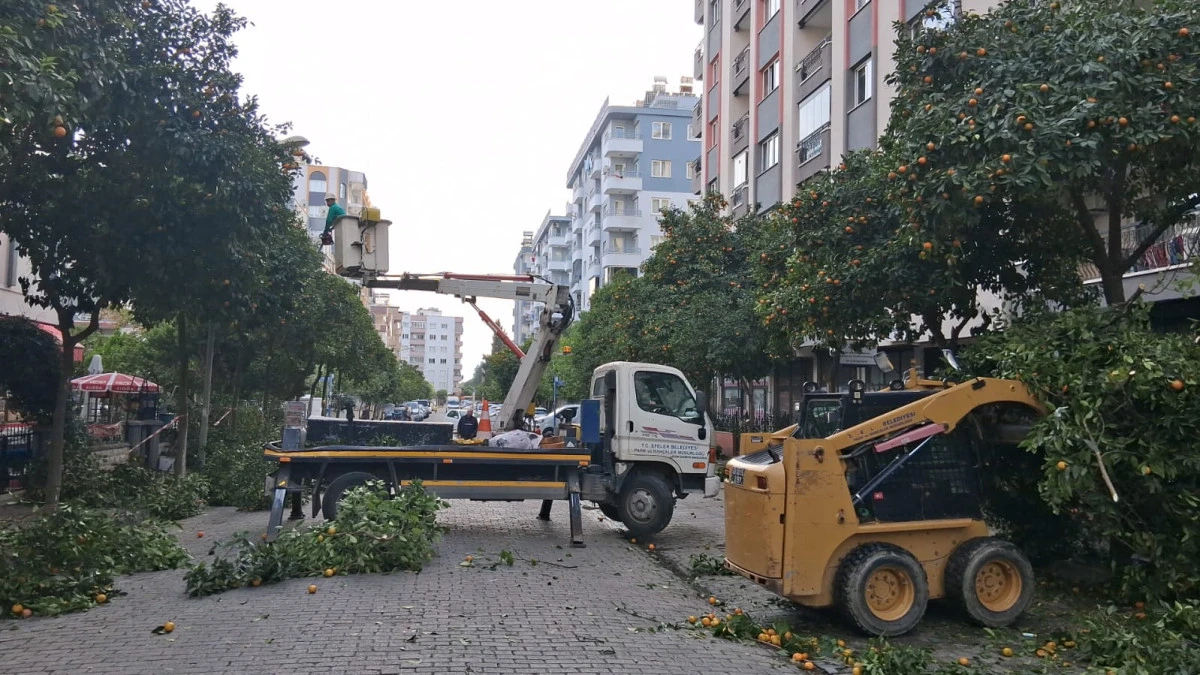 EFELER’İN EKİPLERİ DAHA YEŞİL BİR KENT İÇİN ÇALIŞIYOR