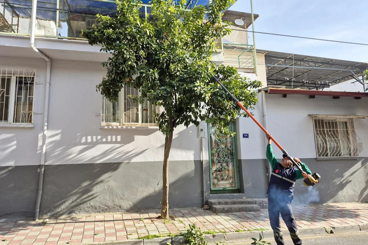 EFELER&rsquo;İN TARİHİ MİRASI BAŞKAN YETİŞKİN İLE KORUNUYOR