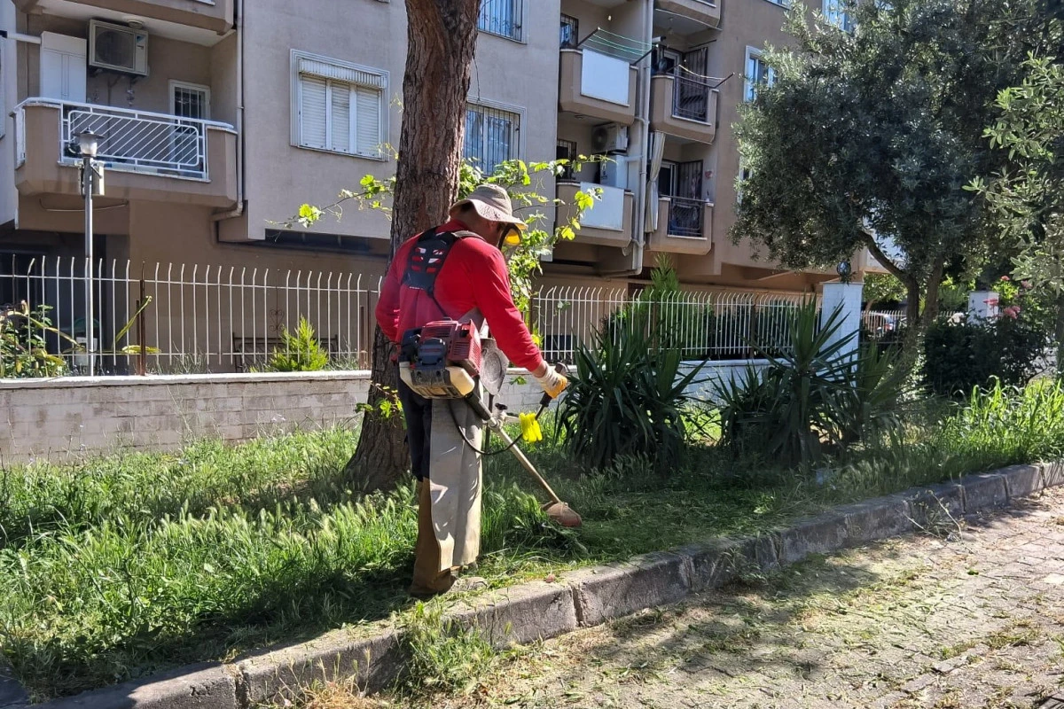 EFELER&rsquo;İN YEŞİL ALANLARINDA YAZ TEMİZLİĞİ