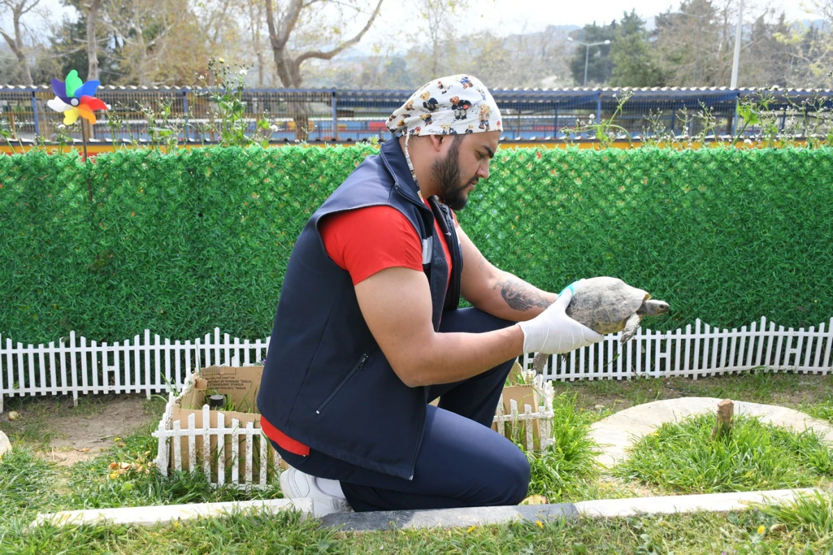 EVCİL HAYVAN BAKIM VE REHABİLASYON MERKEZİ&rsquo;NİN YENİ SAKİNLERİ İ&Ccedil;İN &Ouml;ZEL YAŞAM ALANI