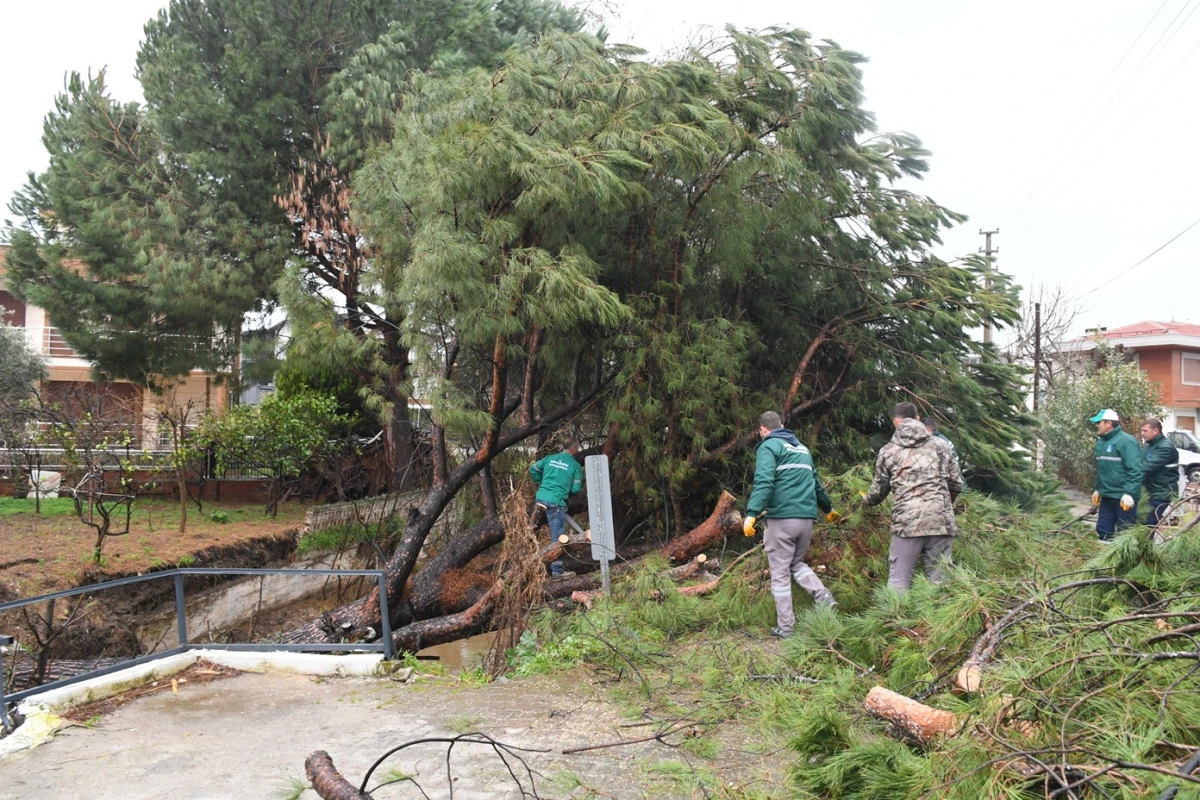 KUŞADASI BELEDİYESİ EKİPLERİ OLASI BİR FACİANIN &Ouml;N&Uuml;NE GE&Ccedil;Tİ